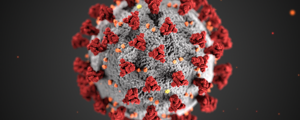 This illustration, created at the Centers for Disease Control and Prevention (CDC), reveals ultrastructural morphology exhibited by coronaviruses. Note the spikes that adorn the outer surface of the virus, which impart the look of a corona surrounding the virion, when viewed electron microscopically. A novel coronavirus, named Severe Acute Respiratory Syndrome coronavirus 2 (SARS-CoV-2), was identified as the cause of an outbreak of respiratory illness first detected in Wuhan, China in 2019. The illness caused by this virus has been named coronavirus disease 2019 (COVID-19). - Sputnik International