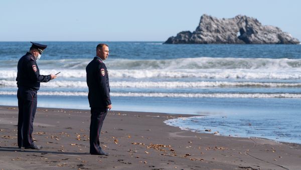 The Russian Investigative Committee has launched a criminal case over the pollution incident off the coast of the far-eastern Kamchatka peninsula - Sputnik International