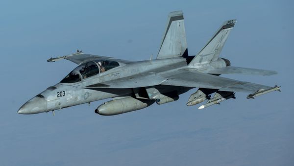 A U.S. Navy F/A-18F Super Hornet, from the Mighty Shrikes of Strike Fighter Squadron (VFA) 94, flies over the U.S. Central Command area of responsibility during a mission in support of Operation Inherent Resolve, Sept. 30, 2020.  - Sputnik International