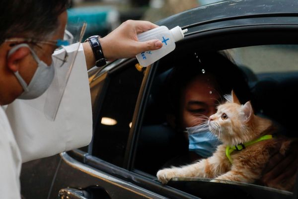 This Week in Pictures: 3 - 9 October This Week in Pictures: 3 - 9 October - Sputnik International