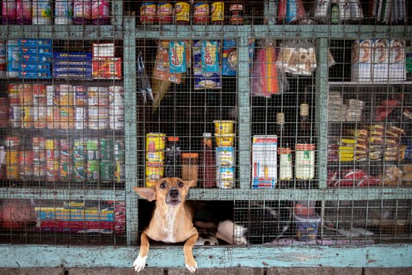 This Week in Pictures: 3 - 9 October This Week in Pictures: 3 - 9 October - Sputnik International