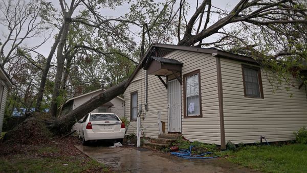 A tree that fell during Hurricane Laura is seen on top of a house as Hurricane Delta approaches in Lake Charles - Sputnik International