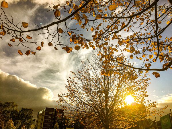 Autumn in Lichfield City, England Autumn in Lichfield City, England - Sputnik International