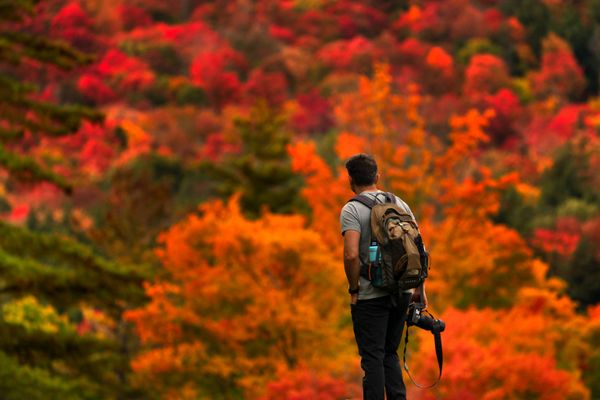 Gorkan Telci, of Southborough, Massachusetts pauses to consider where to aim his camera as the fall foliage on the eastern slope of Lower Wolfjaw Mountain in the Adirondacks leaves him spoilt for choice, Sunday, 27 September 2020. Gorkan Telci, of Southborough, Massachusetts pauses to consider where to aim his camera as the fall foliage on the eastern slope of Lower Wolfjaw Mountain in the Adirondacks leaves him spoilt for choice, Sunday, 27 September 2020. - Sputnik International