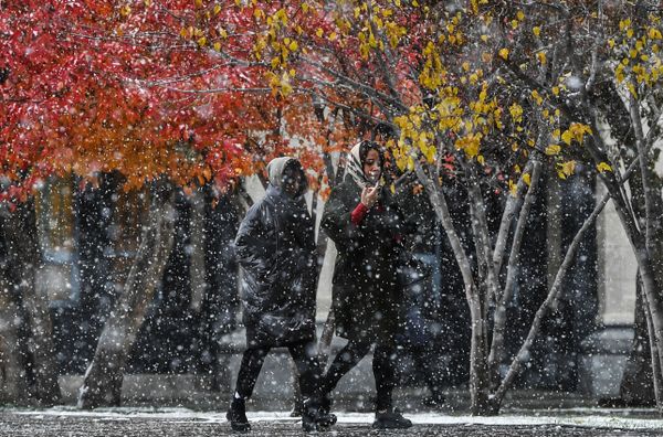 Passersby walk along an alley as it snows in Novosibirsk. Passersby walk along an alley as it snows in Novosibirsk. - Sputnik International