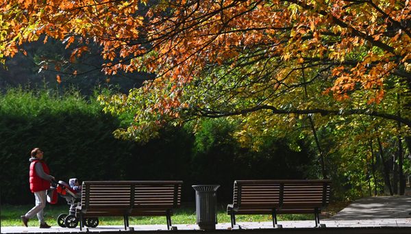 A woman walks with a child in a Moscow park on 11 October 2020. A woman walks with a child in a Moscow park on 11 October 2020. - Sputnik International