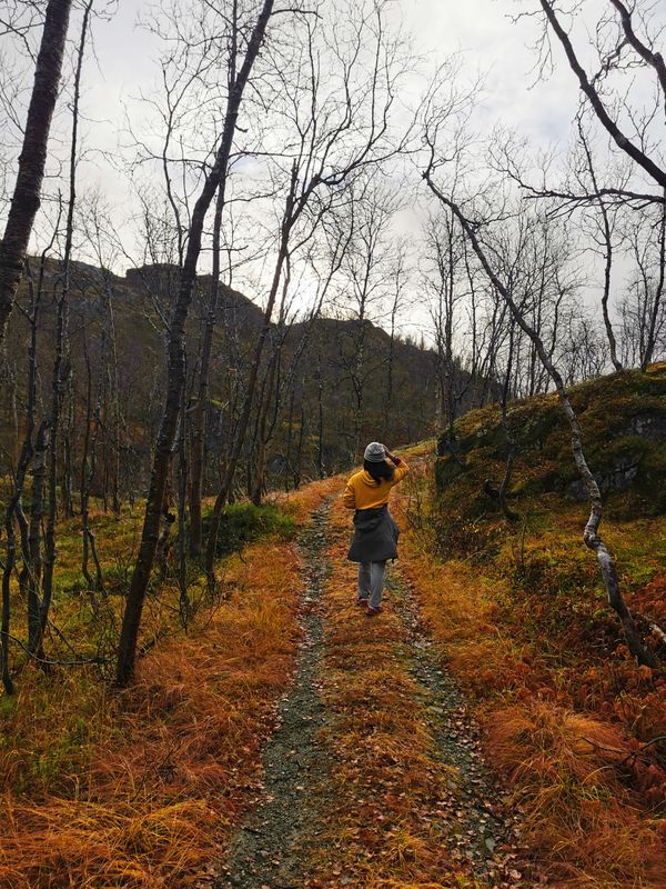A walk in an autumn forest in Norway. A walk in an autumn forest in Norway. - Sputnik International