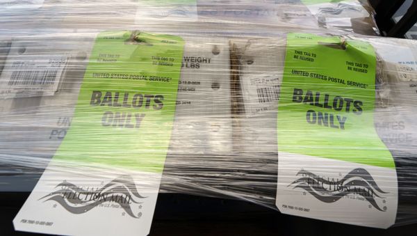 Pallets of voting ballots are ready for mailing to the United States Postal Service as they are displayed to the media at the Orange County Registrar of Voters, before a news conference on Orange County's comprehensive plans to safeguard the election and provide transparency in Santa Ana, Calif., Monday, Oct. 5, 2020 Pallets of voting ballots are ready for mailing to the United States Postal Service as they are displayed to the media at the Orange County Registrar of Voters, before a news conference on Orange County's comprehensive plans to safeguard the election and provide transparency in Santa Ana, Calif., Monday, Oct. 5, 2020 - Sputnik International