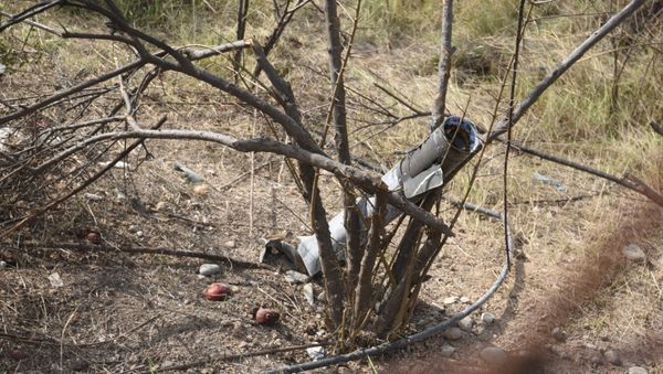 The view shows an unexploded shell stuck in the branches after a recent shelling  in Martakert, a self-proclaimed Republic of the Nagorno-Karabakh - Sputnik International