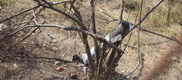 The view shows an unexploded shell stuck in the branches after a recent shelling  in Martakert, in the self-proclaimed Republic of Nagorno-Karabakh - Sputnik International