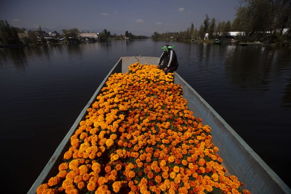 This Week in Pictures: 10 - 16 October - Sputnik International