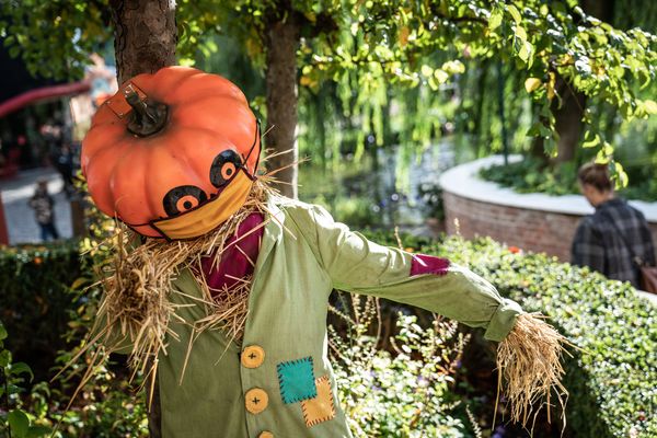 New Masks for Fall 2020: How Different Countries Prepare for Halloween New Masks for Fall 2020: How Different Countries Prepare for Halloween - Sputnik International