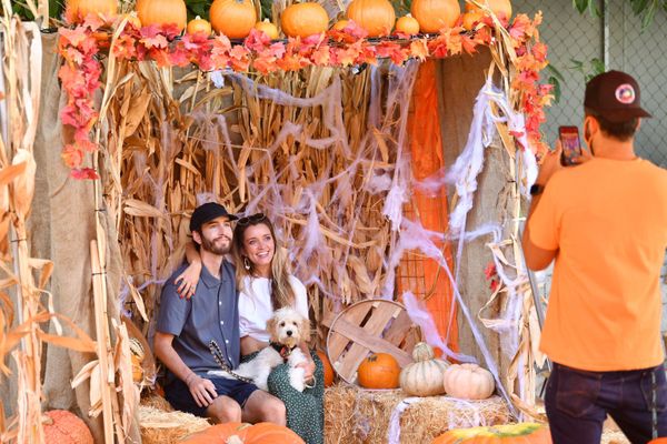 New Masks for Fall 2020: How Different Countries Prepare for Halloween New Masks for Fall 2020: How Different Countries Prepare for Halloween - Sputnik International