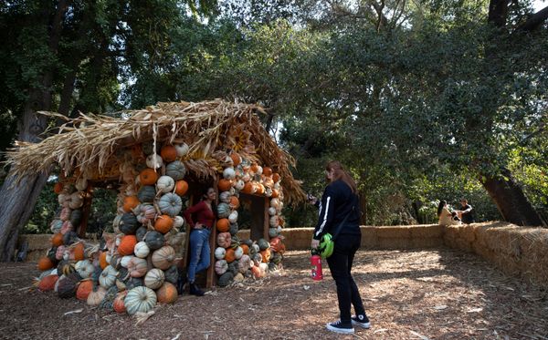 New Masks for Fall 2020: How Different Countries Prepare for Halloween New Masks for Fall 2020: How Different Countries Prepare for Halloween - Sputnik International