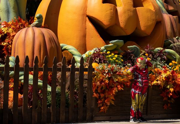 New Masks for Fall 2020: How Different Countries Prepare for Halloween New Masks for Fall 2020: How Different Countries Prepare for Halloween - Sputnik International