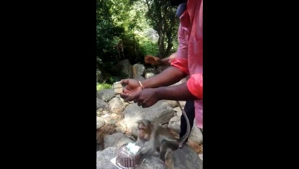 Epic birthday celebration... - Sputnik International