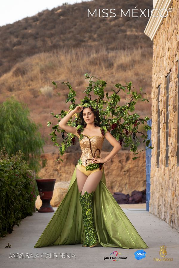 Eagle and Snake: Stunning Miss Mexico Contestants Show off Fabulous Dresses and Feathered Costumes Eagle and Snake: Stunning Miss Mexico Contestants Show off Fabulous Dresses and Feathered Costumes - Sputnik International