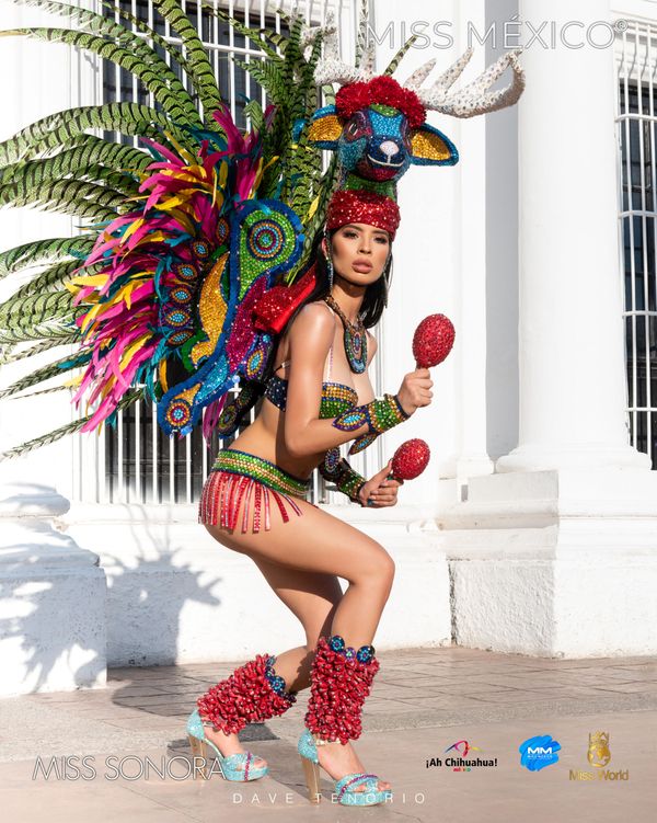 Eagle and Snake: Stunning Miss Mexico Contestants Show off Fabulous Dresses and Feathered Costumes Eagle and Snake: Stunning Miss Mexico Contestants Show off Fabulous Dresses and Feathered Costumes - Sputnik International