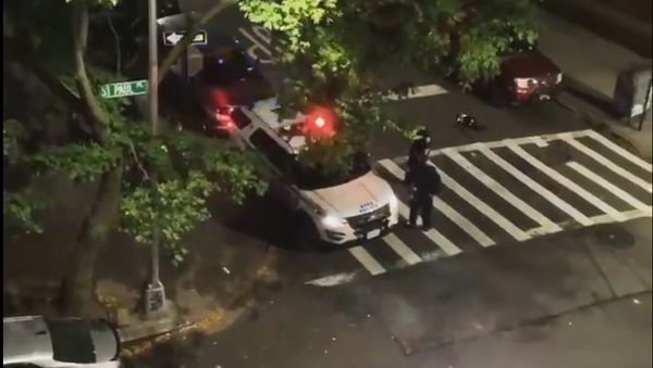 A screenshot from a video of a New York Police Department officer allegedly campaigning for the re-election of US President Donald Trump in the 2020 US presidential elections in Brooklyn, New York, on 24.10.2020. - Sputnik International