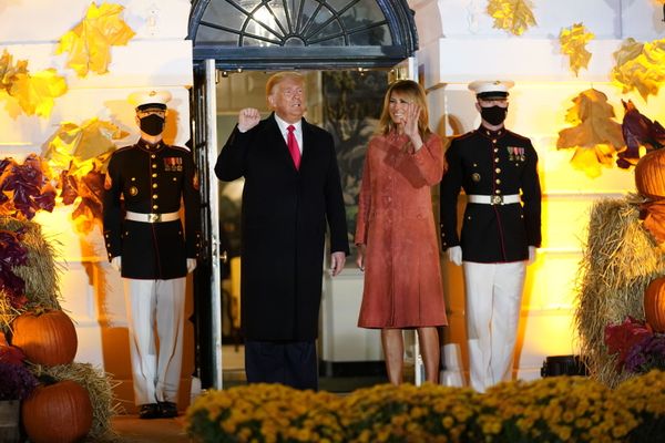 ‘Career Politician’ Hawking ‘Leftist Agenda’: Melania Trump Slams Biden Ahead of Election Day ‘Career Politician’ Hawking ‘Leftist Agenda’: Melania Trump Slams Biden Ahead of Election Day - Sputnik International