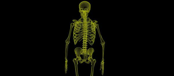 Human Skeleton - Sputnik International