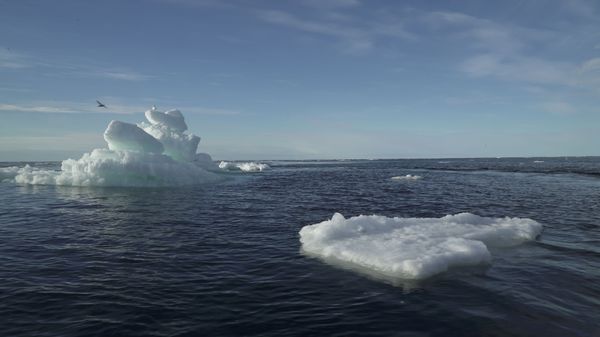Floating ice is seen during the expedition of the The Greenpeace's Arctic Sunrise ship at the Arctic Ocean - Sputnik International