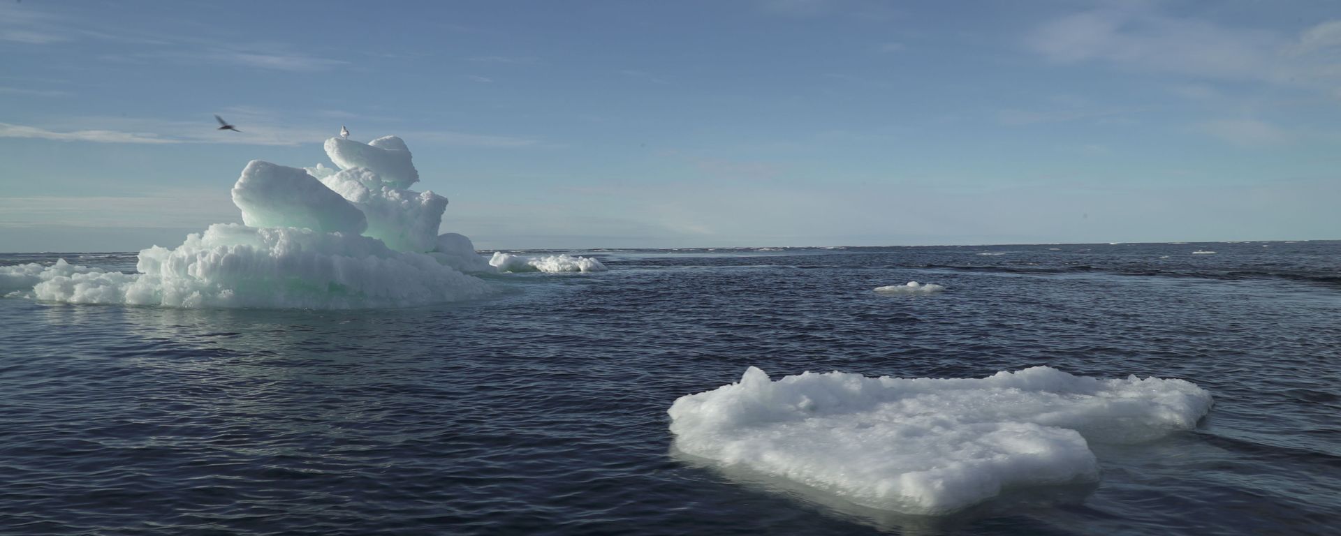 Floating ice is seen during the expedition of the The Greenpeace's Arctic Sunrise ship at the Arctic Ocean - Sputnik International, 1920, 16.09.2022