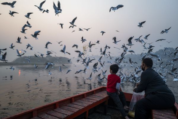This Week in Pictures: 24 - 30 October This Week in Pictures: 24 - 30 October - Sputnik International