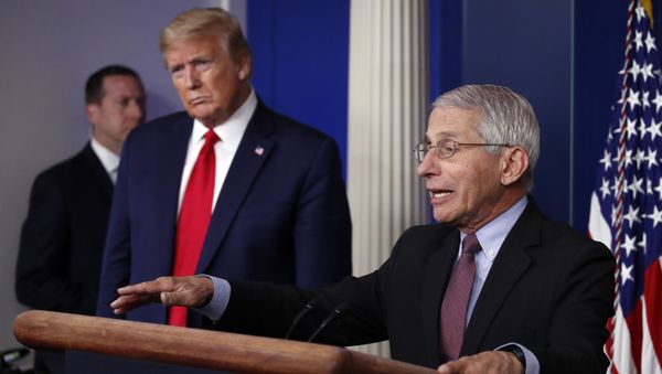 President Donald Trump listens as Dr. Anthony Fauci, director of the National Institute of Allergy and Infectious Diseases, speaks about the coronavirus in the James Brady Press Briefing Room of the White House, Wednesday, April 22, 2020, in Washington President Donald Trump listens as Dr. Anthony Fauci, director of the National Institute of Allergy and Infectious Diseases, speaks about the coronavirus in the James Brady Press Briefing Room of the White House, Wednesday, April 22, 2020, in Washington - Sputnik International