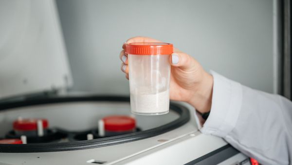Fuel samples - Sputnik International