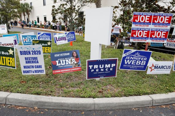 US Election 2020 Timeline: What to Watch For on Election Night US Election 2020 Timeline: What to Watch For on Election Night - Sputnik International