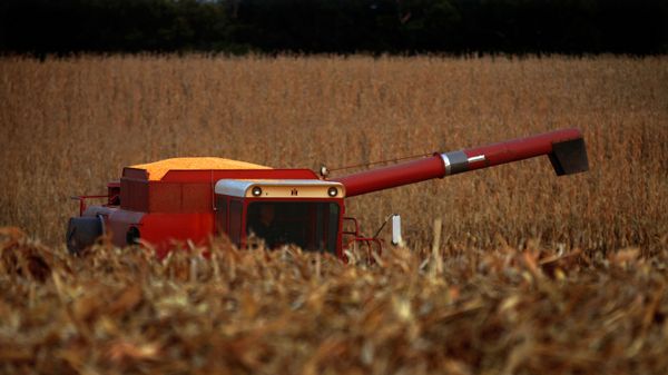 In this Sept. 22, 2015 photo, a central Illinois farmer races against the sunset to harvest his cornfield field near Farmingdale, Ill. With most of this year's corn and soybeans harvested, the U.S. Department of Agriculture is boosting its expectations for the size of the crops. - Sputnik International