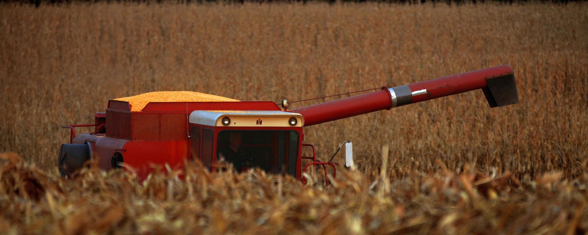 In this Sept. 22, 2015 photo, a central Illinois farmer races against the sunset to harvest his cornfield field near Farmingdale, Ill. With most of this year's corn and soybeans harvested, the U.S. Department of Agriculture is boosting its expectations for the size of the crops. In this Sept. 22, 2015 photo, a central Illinois farmer races against the sunset to harvest his cornfield field near Farmingdale, Ill. With most of this year's corn and soybeans harvested, the U.S. Department of Agriculture is boosting its expectations for the size of the crops. - Sputnik International, 1920, 25.07.2023