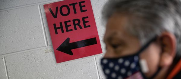 A voter waits to cast his ballot - Sputnik International