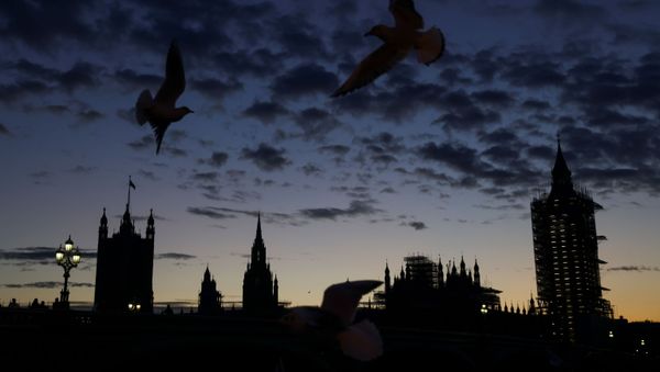 Gulls fly as the parliament is seen during sunset, amid the coronavirus disease (COVID-19) outbreak, in London Gulls fly as the parliament is seen during sunset, amid the coronavirus disease (COVID-19) outbreak, in London - Sputnik International