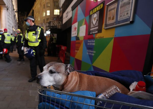 Guy Fawkes vs Quarantine: Million Mask March Held in London as People Protest Against Lockdown - Sputnik International