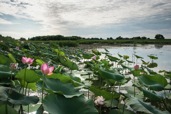 Where the Heavens Meet the Earth: Most Breathtaking Sights of Russia - Sputnik International