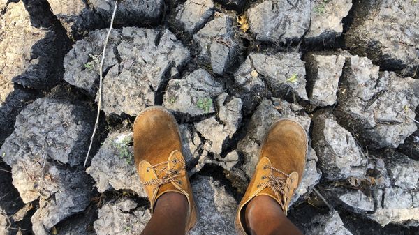 In this photo taken on Sunday, Oct. 27, 2019, a man stands on a sun baked pool that used to be a perennial water supply in Mana Pools National Park, Zimbabwe - Sputnik International
