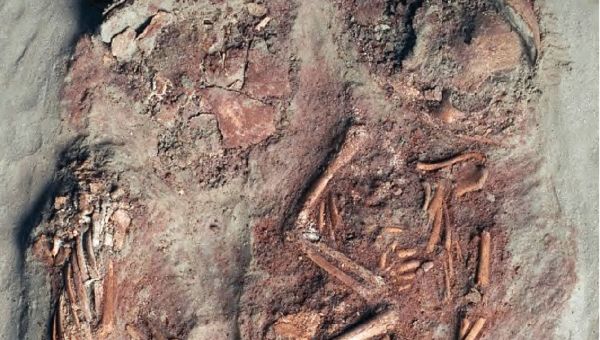 The skeletal remains of two newborns that lived some 30,000 years ago are deemed the earliest known evidence of identical twins on record. Researchers analyzed the ancient DNA of two male infants unearthed in Austria, determining they share an entire genome - Sputnik International