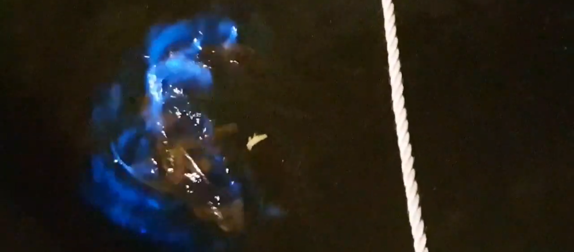 Shark Glows in Bioluminescent Tasmanian Waters - Sputnik International, 1920, 10.11.2020