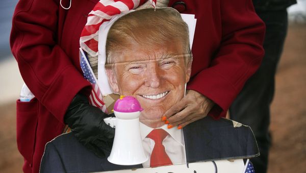 A supporter of President Donald Trump holds a cardboard cutout of the president during a protest of the election outside of the Clark County Election Department, Sunday, Nov. 8, 2020, in North Las Vegas A supporter of President Donald Trump holds a cardboard cutout of the president during a protest of the election outside of the Clark County Election Department, Sunday, Nov. 8, 2020, in North Las Vegas - Sputnik International