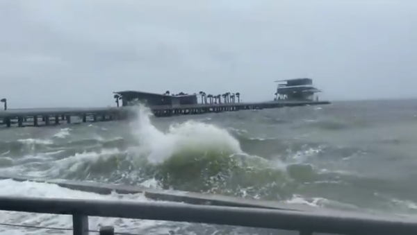 Tropical Storm Eta brings harsh weather to Florida's Gulf coast - Sputnik International
