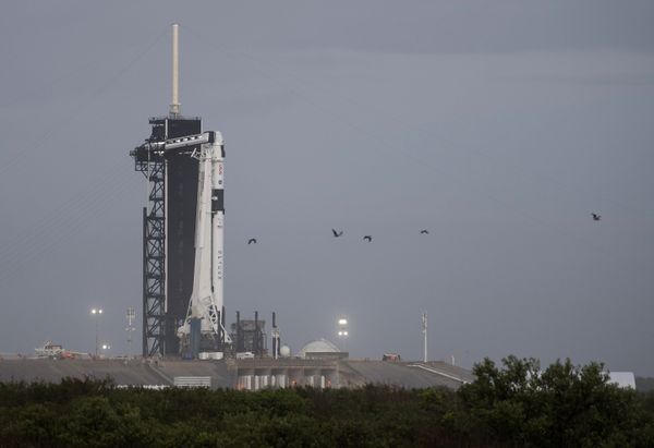 SpaceX Falcon 9 Rocket Delivers US Spy Satellite Into Orbit - Sputnik International