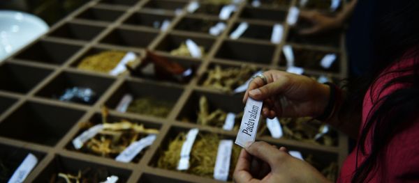 In this photograph taken on November 6, 2014, An Indian visitor reads the name of a herb from a display during the sixth World Ayurveda Congress and Arogya Expo in New Delhi. In this photograph taken on November 6, 2014, An Indian visitor reads the name of a herb from a display during the sixth World Ayurveda Congress and Arogya Expo in New Delhi. - Sputnik International