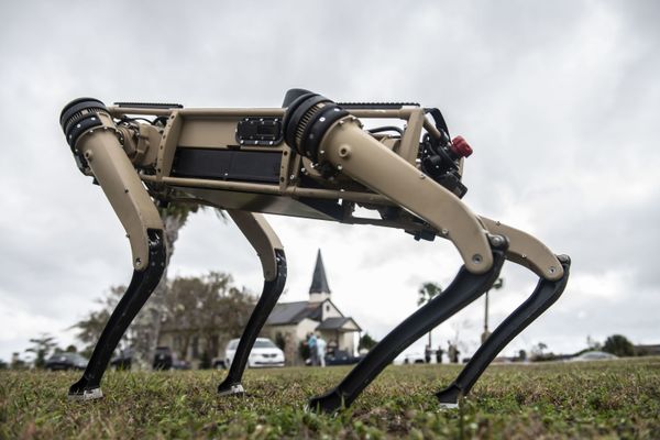 Video: US Air Force Base Security to Start Patrolling Grounds With ‘Robot Dogs’ Video: US Air Force Base Security to Start Patrolling Grounds With ‘Robot Dogs’ - Sputnik International