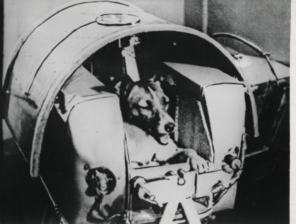 Photos: 2,400 Vintage Images From NASA’s Space Race Era Go Up For Auction Photos: 2,400 Vintage Images From NASA’s Space Race Era Go Up For Auction - Sputnik International