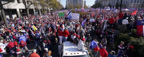Supporters of President Donald Trump rally at Freedom Plaza on Saturday, Nov. 14, 2020, in Washington. - Sputnik International