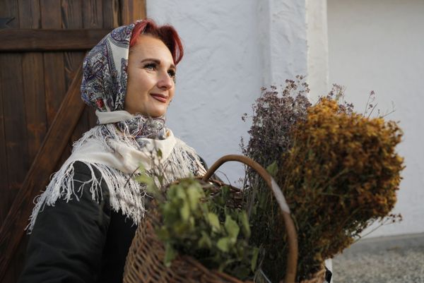 A lady smiles as she takes part in the opening of the Slobozhanschina historical and cultural complex in the Belgorod Region. A lady smiles as she takes part in the opening of the Slobozhanschina historical and cultural complex in the Belgorod Region. - Sputnik International