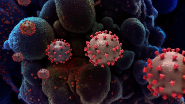 Creative rendition of SARS-COV-2 virus particles - Sputnik International