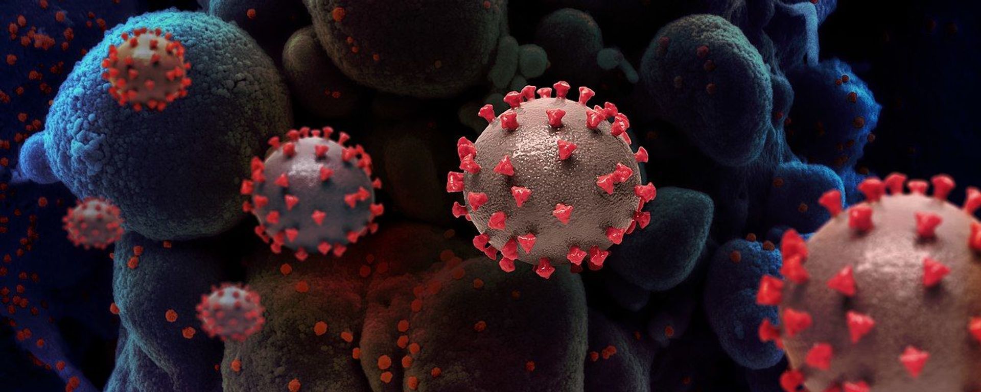 Creative rendition of SARS-COV-2 virus particles - Sputnik International, 1920, 10.03.2023